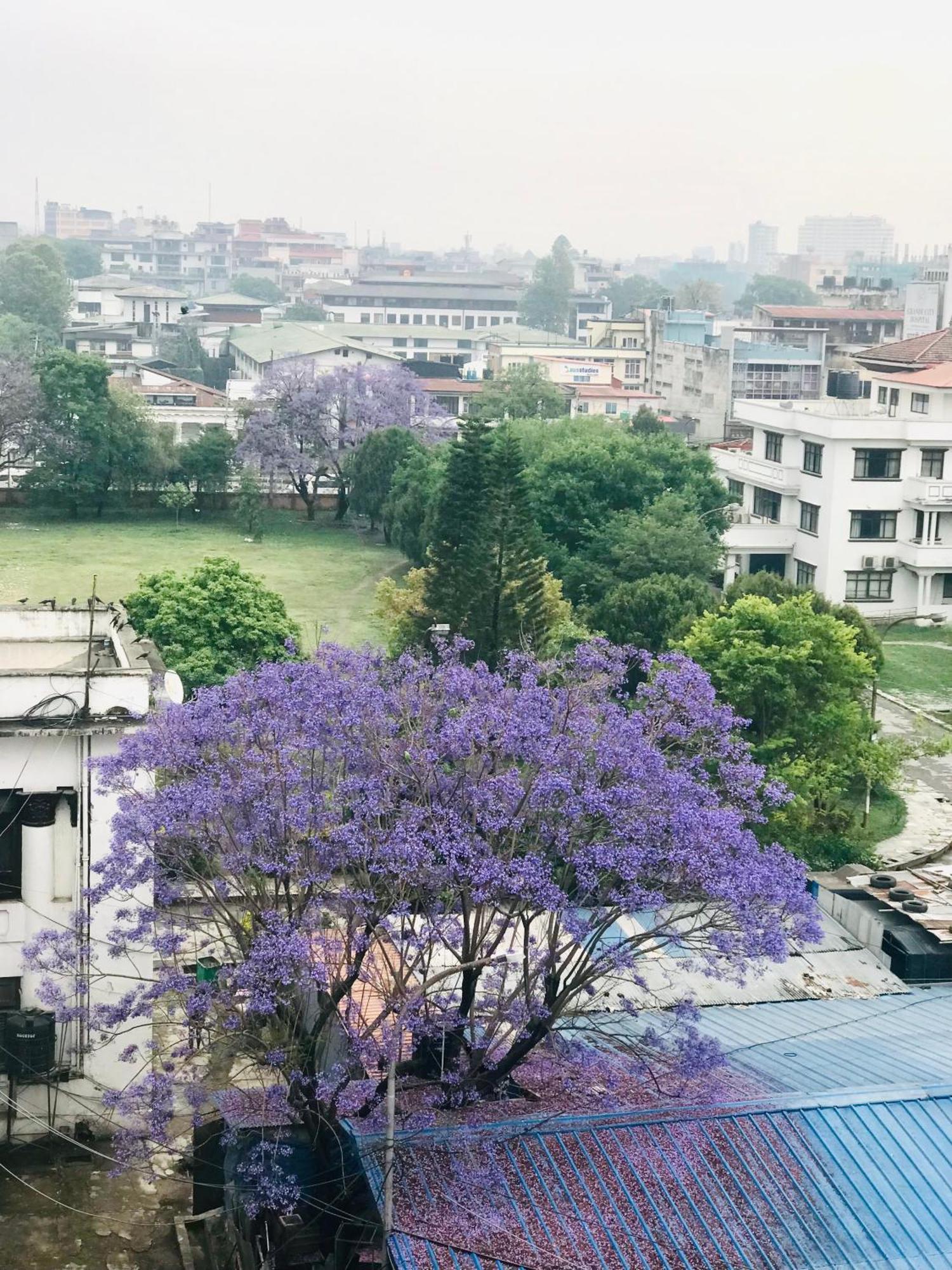 Hotel Maya Boutique & Apartment カトマンズ エクステリア 写真